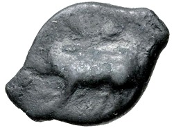 HALYCIAE